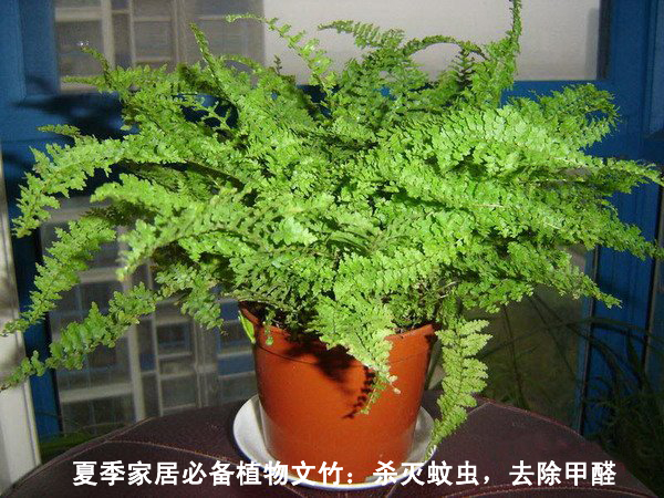 ˹̹h(hun)оģgӭҵĞg[վP(gun)ϲzyϲȩһTW(wng)վ